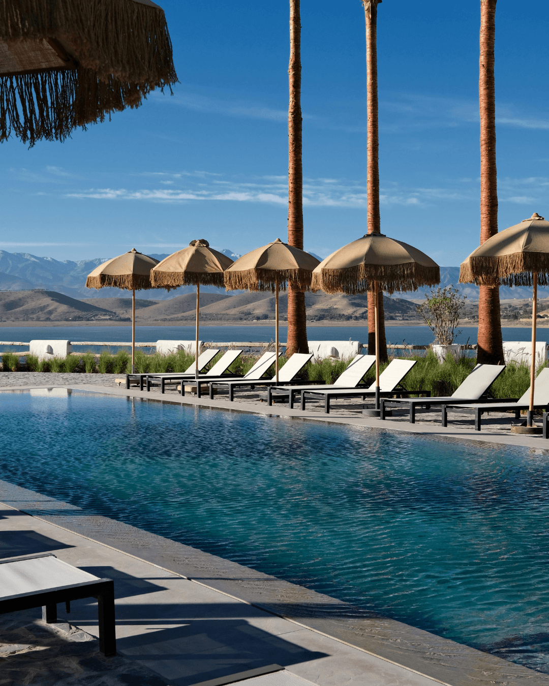 Proyectos Nacionales